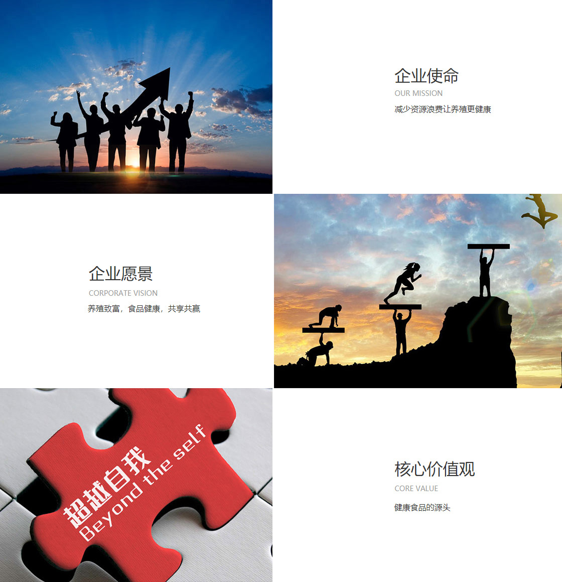 德扑圈下载(图1)